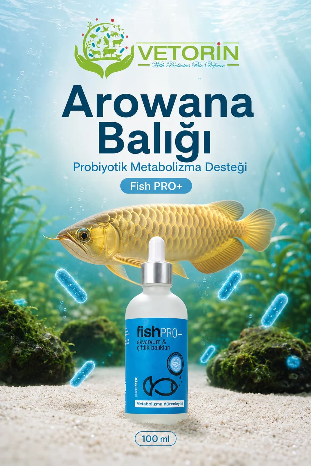Arowana balığı — Vetorin FishPro+