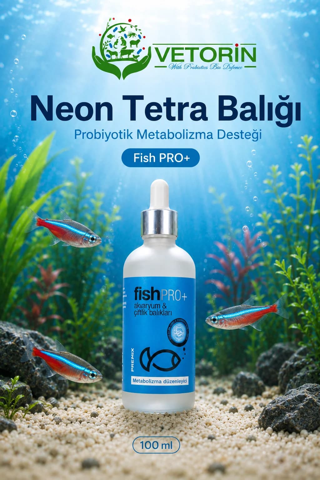 Neon tetra — Vetorin FishPro+