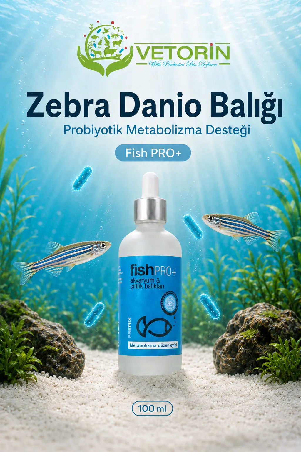 Zebra Danio balığı — Vetorin FishPro+